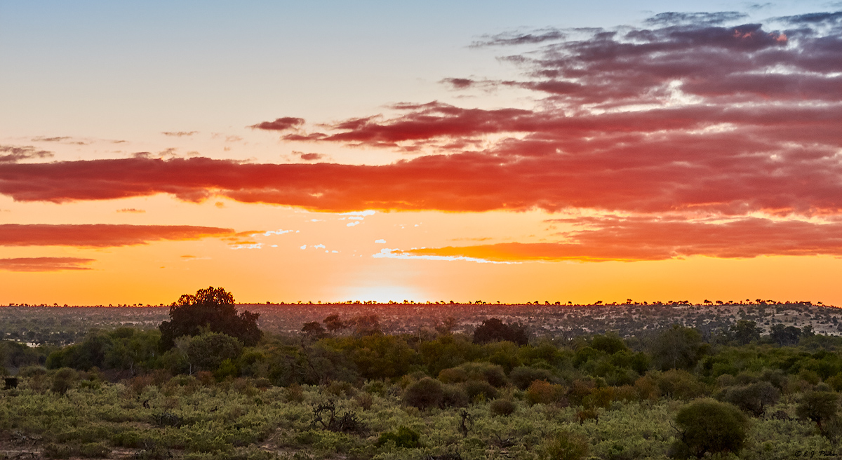 Mashatu Preserve, Botswana