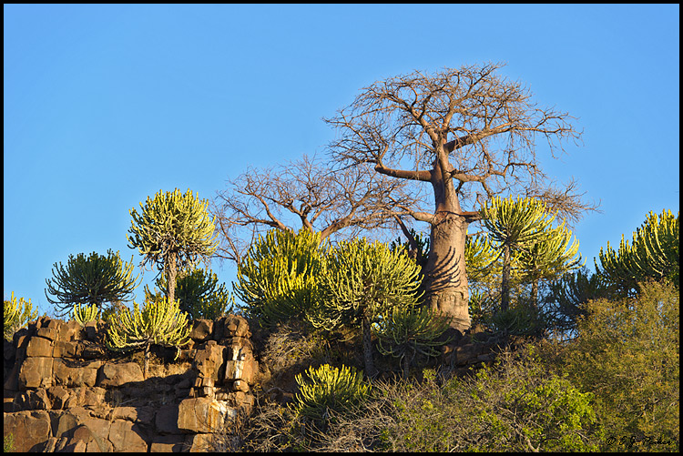 Mashatu Preserve, Botswana