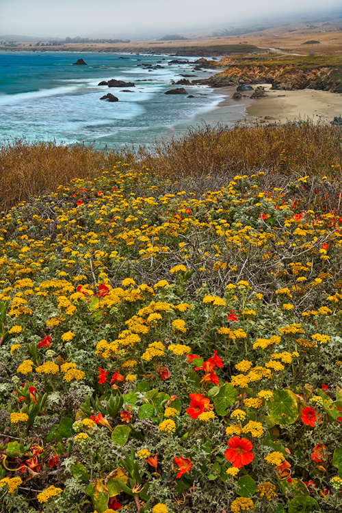 Gorgeous Beach, California