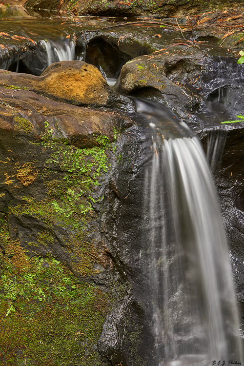 Sempervirens Falls, Big Basin Redwoods State Park, CA