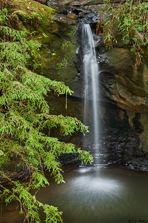 Sempervirens Falls, Big Basin Redwoods State Park, CA