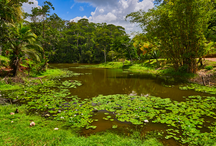Laguna de Lagarta, Costa Rica