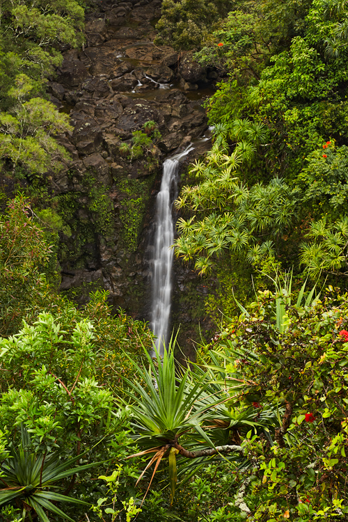 Lower Puohokamoa Falls, Maui