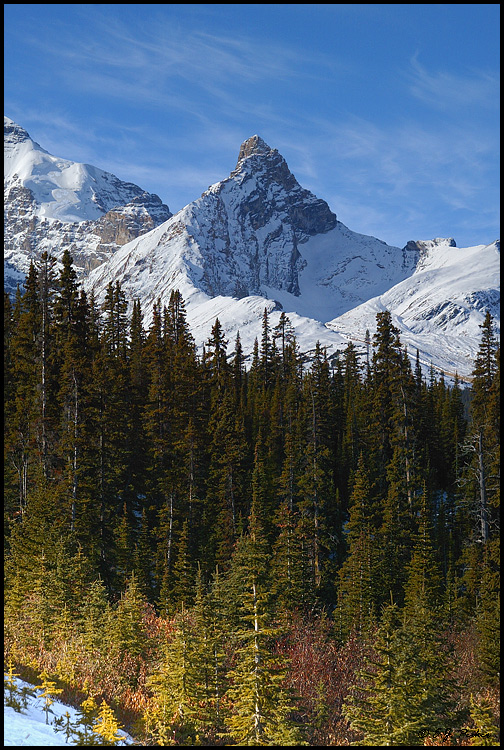 Mount Athabasca, Banff NP, AB