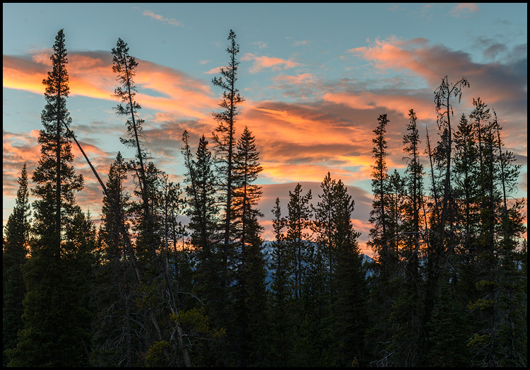 Sawback Range, Banff, NP