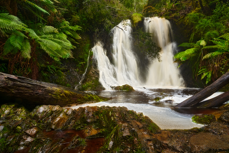 Hogarth Falls, Tasmania