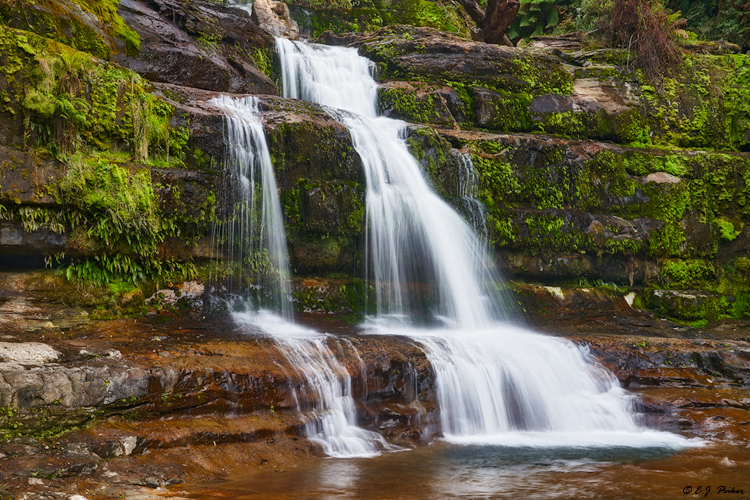 Liffey Falls Reserve, Tasmania