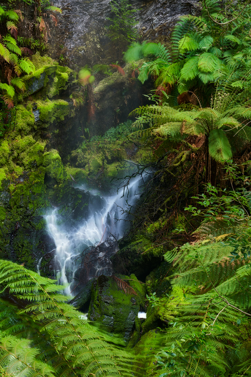 Lovers Falls, Tasmania