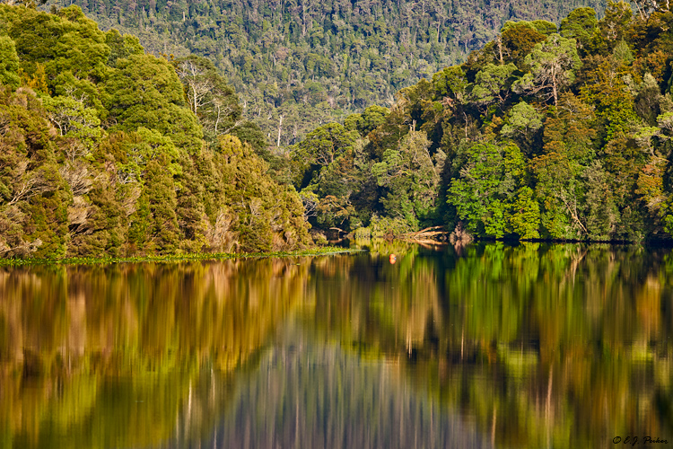 Pieman River, Tarkine Wilderness, Tasmania