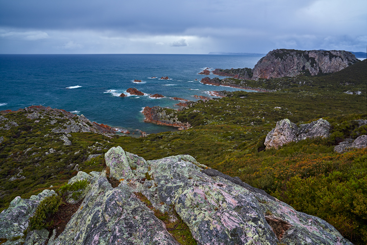 Rocky Cape National Park, Tasmania