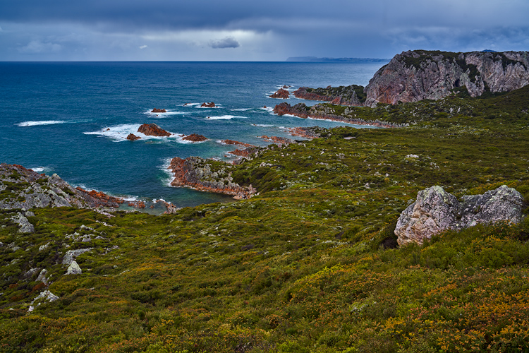 Rocky Cape National Park, Tasmania
