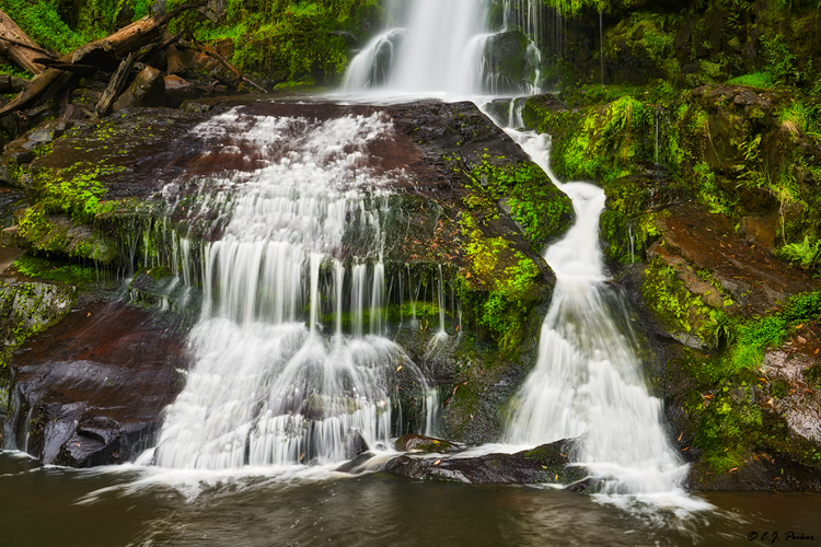 Erskine Falls, Great Otway, Victoria