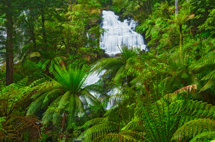 Triplet Falls, Great Otway, Victoria