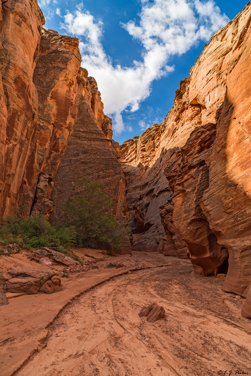Canyon X, Navajo Nation, AZ