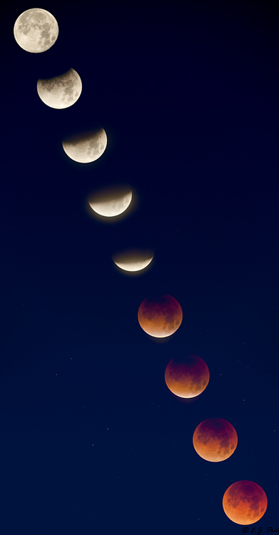 Lunar Eclipse, Florence AZ