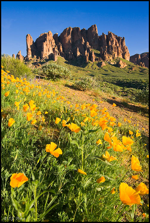 Superstition Mountains, AZ