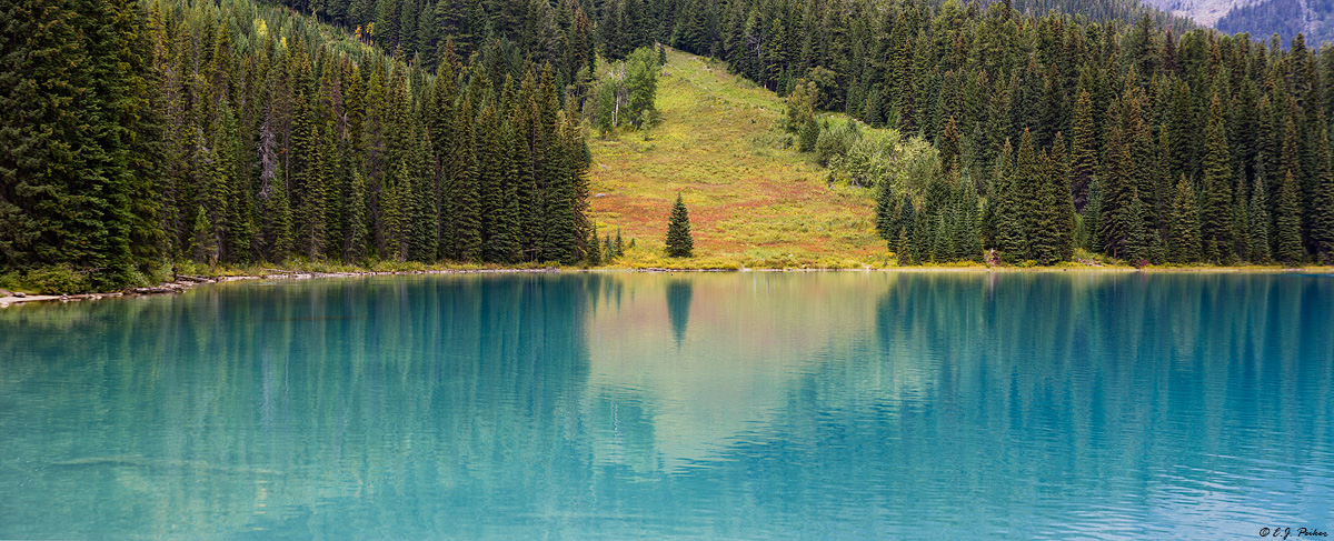 Emerald Lake, Yoho National Park, BC