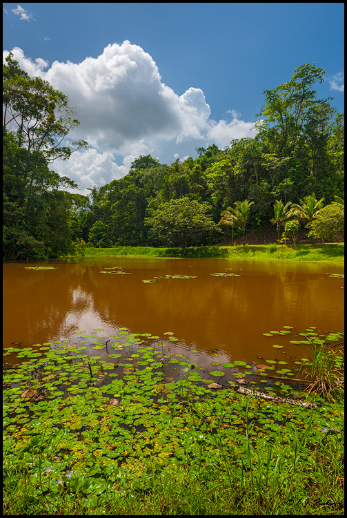 Laguna de Lagarta, Costa Rica