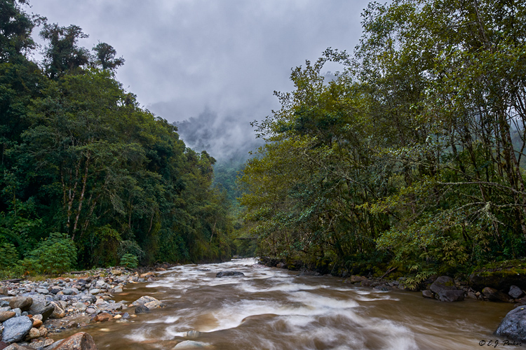 Guango, Ecuador