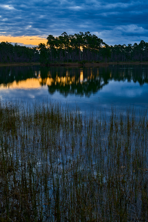 Long Pine Key, Everglads, FL