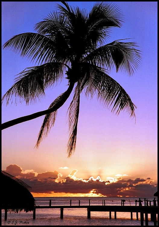 Bora Bora Sunset - Motu Toopua