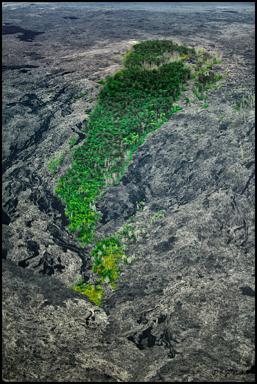 Kilauea Devastation