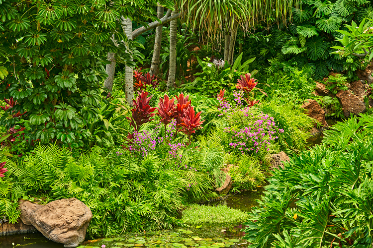 Hulopoe Four Seasons Gardens, Lanai