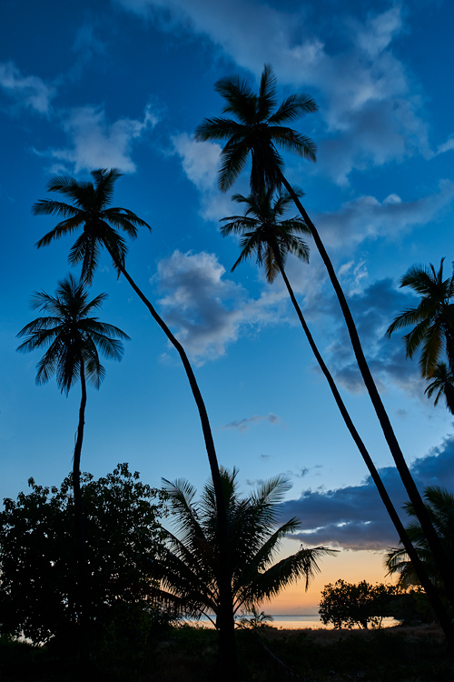 Kapuaiwa Royal Coconut Grove, Molokai