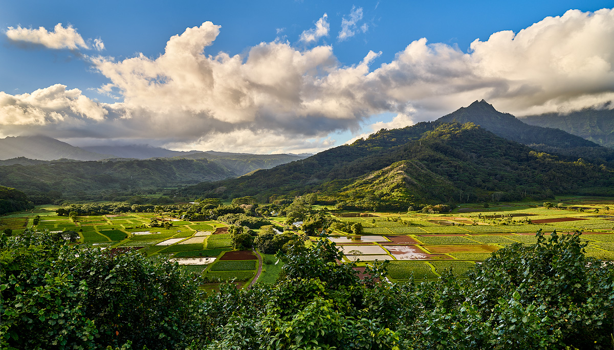 Hanalei Valley, Kauai, HI