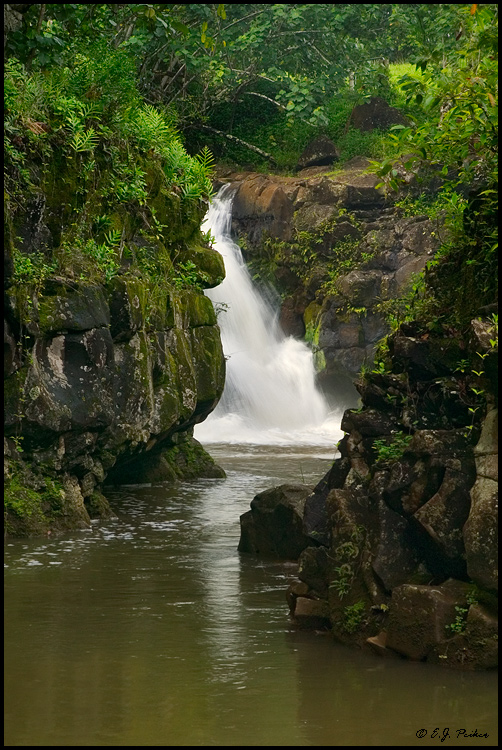 Hoopii Falls, Kauai, HI
