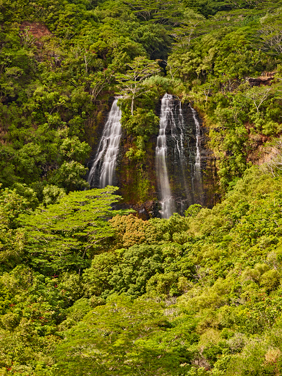 Opaekaa Falls, Kauai, HI