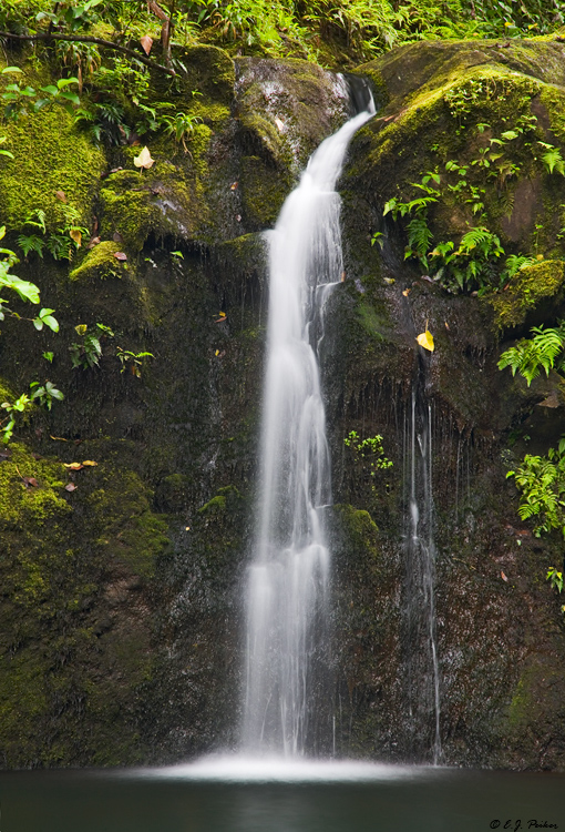 Haipuaena Falls, Maui