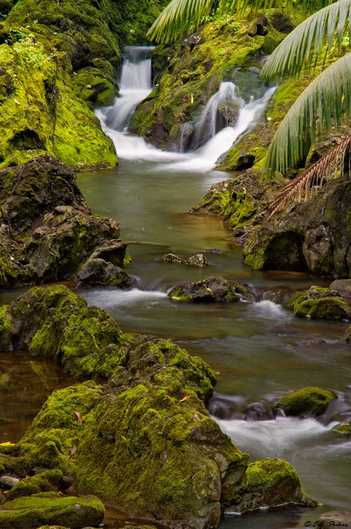 Naihuku Falls, Maui