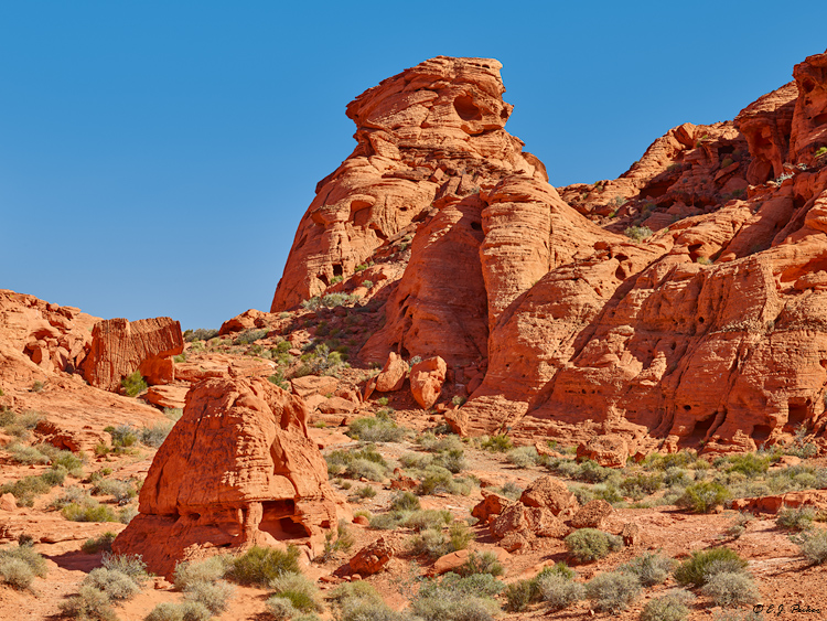 Valley Of Fire, NV