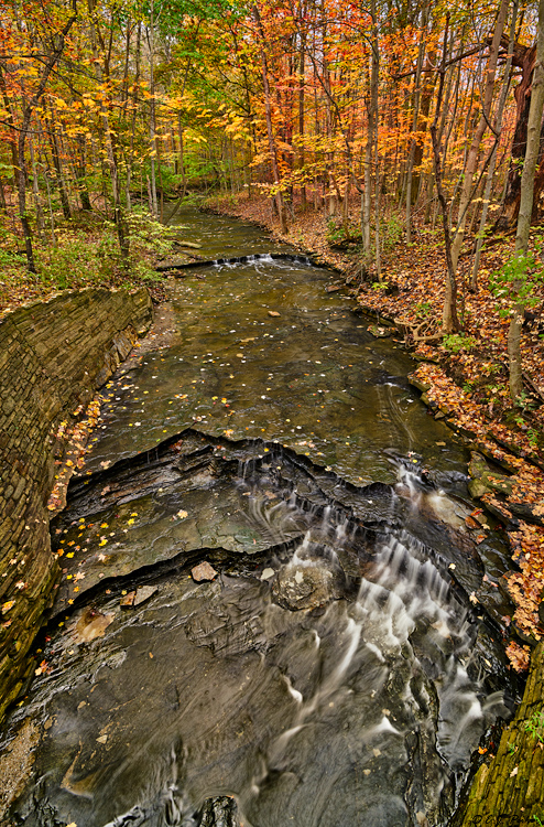 North Chagrin Reservation, OH