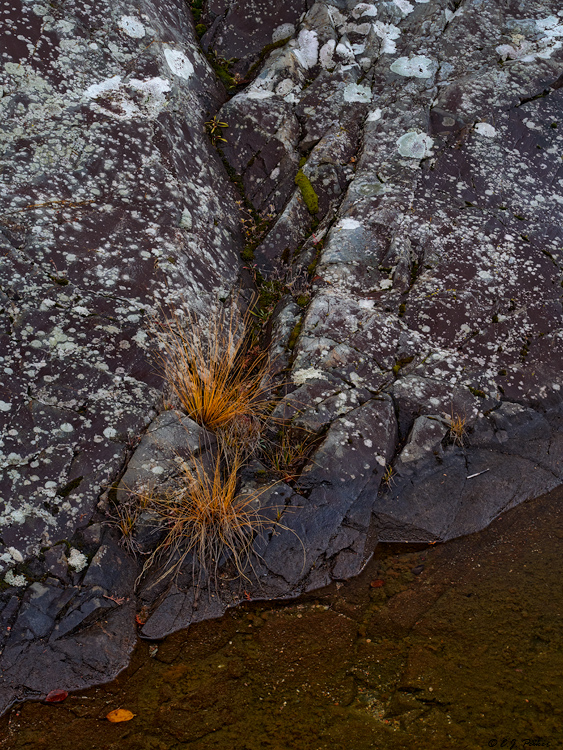 Lake Superior Provincial Park, Ontario