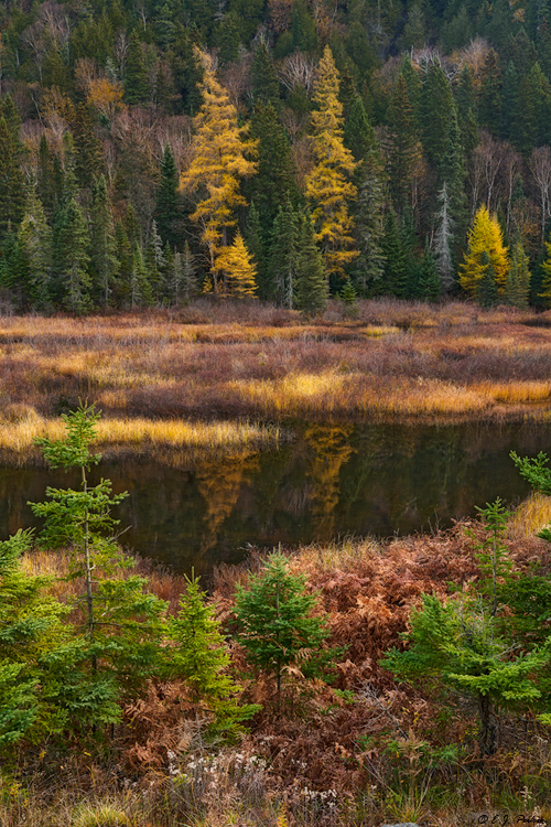 Lake Superior Provincial Park, Ontario