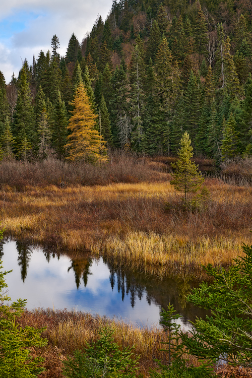 Lake Superior Provincial Park, Ontario