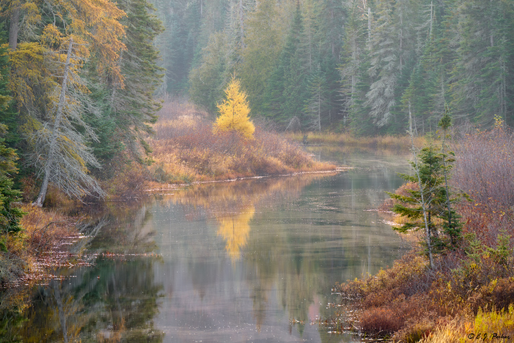 Lake Superior Provincial Park, Ontario