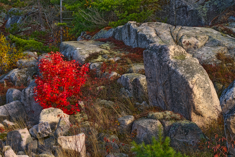 Lake Superior Provincial Park, Ontario