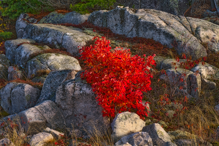 Lake Superior Provincial Park, Ontario