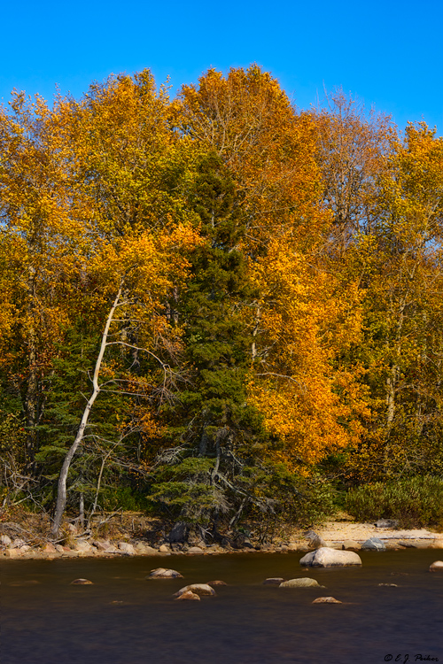 Lake Superior Provincial Park, Ontario