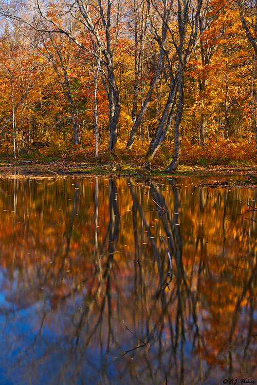 Lake Superior Provincial Park, Ontario