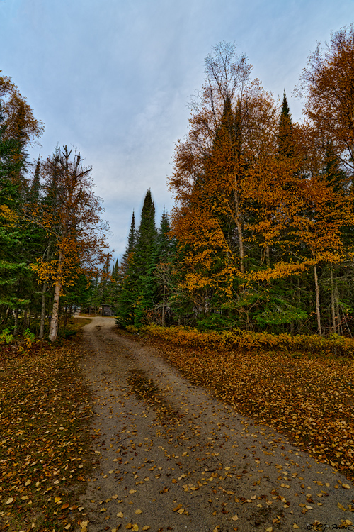 Lake Superior Provincial Park, Ontario