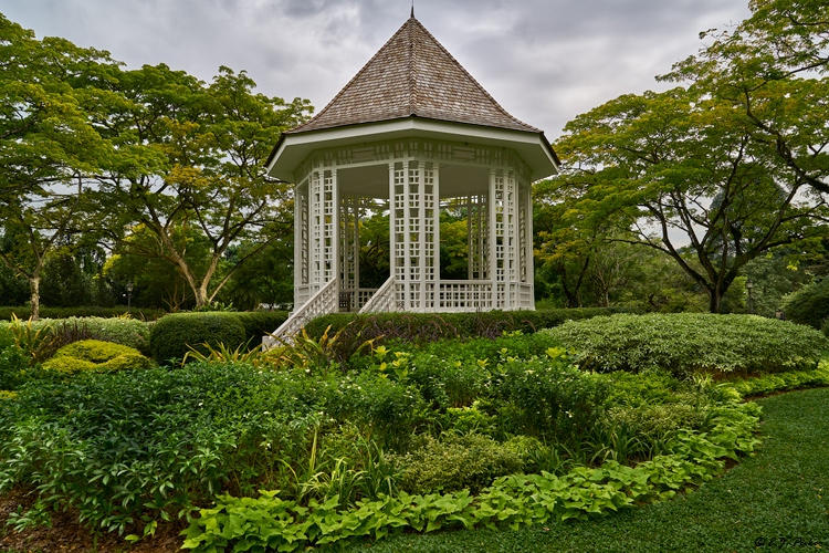SIngapore Botanical Garden