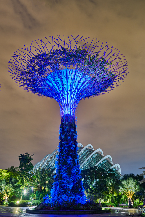 Gardens By The Bay, Singapore