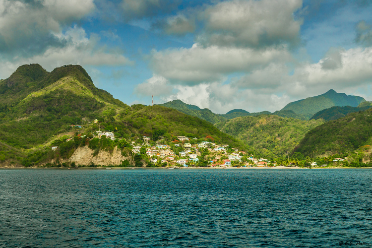 Canaries, Saint Lucia