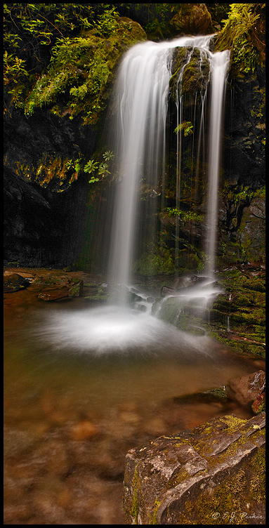 Grotto Falls, Great Smoky Mountains NP, TN