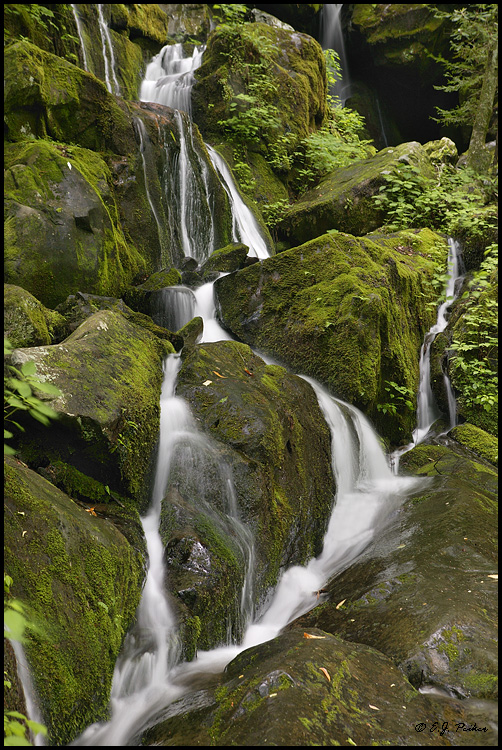 Roaring Fork, Great Smoky Mountains NP, TN