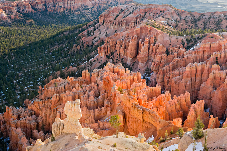 Bryce Point, Bryce Canyon NP, UT